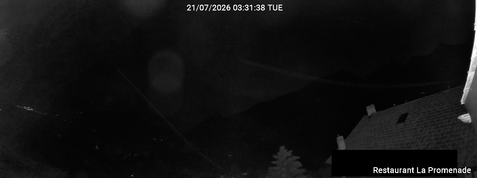 38h ago - 04:31