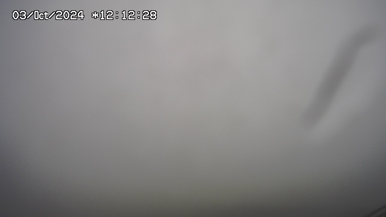03.10.2024 12:01
