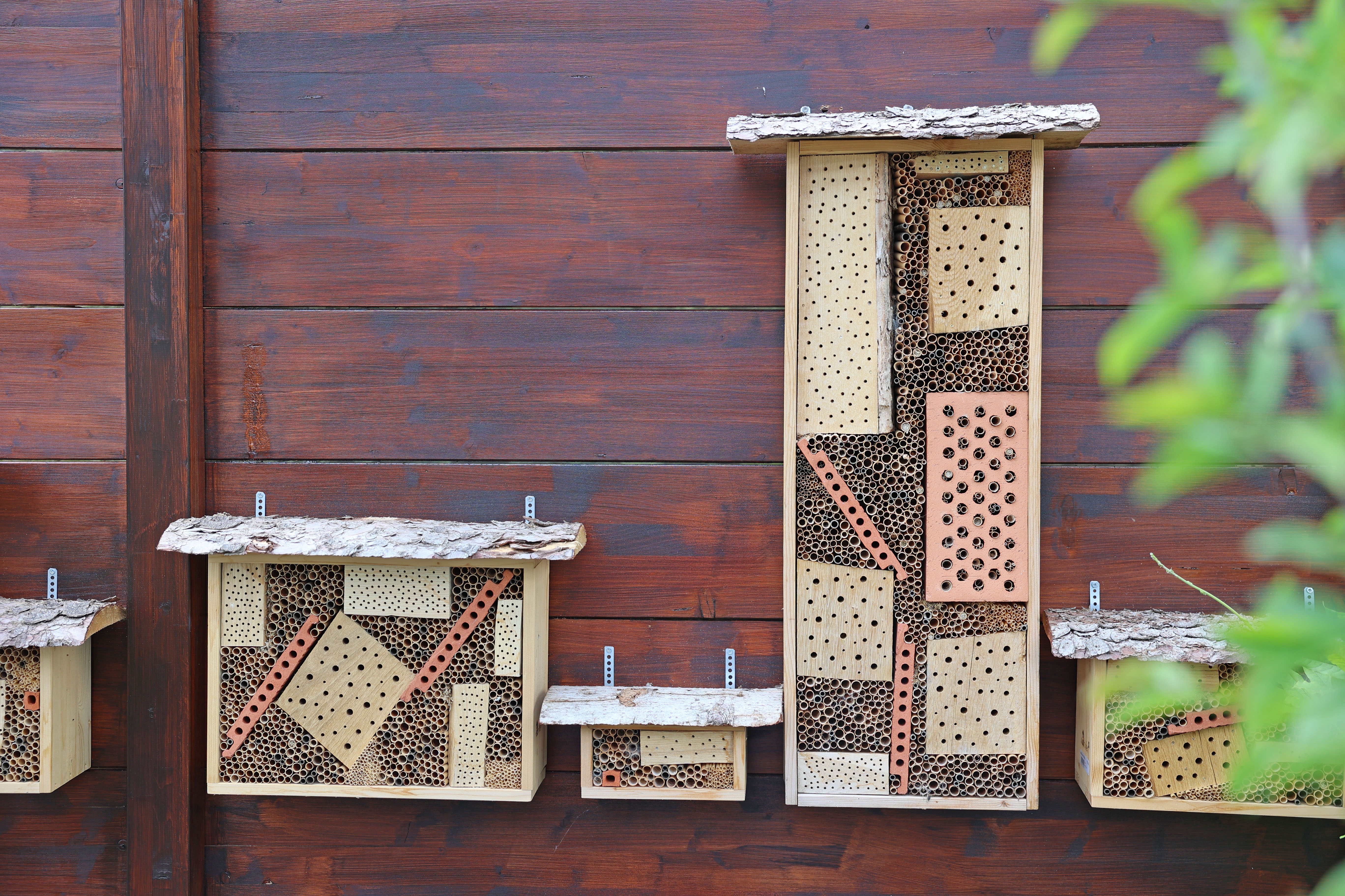 Nisthilfen für Wildbienen bauen