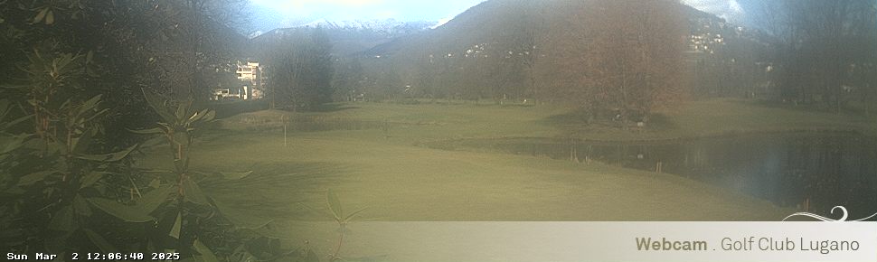 02.03.2025 12:06