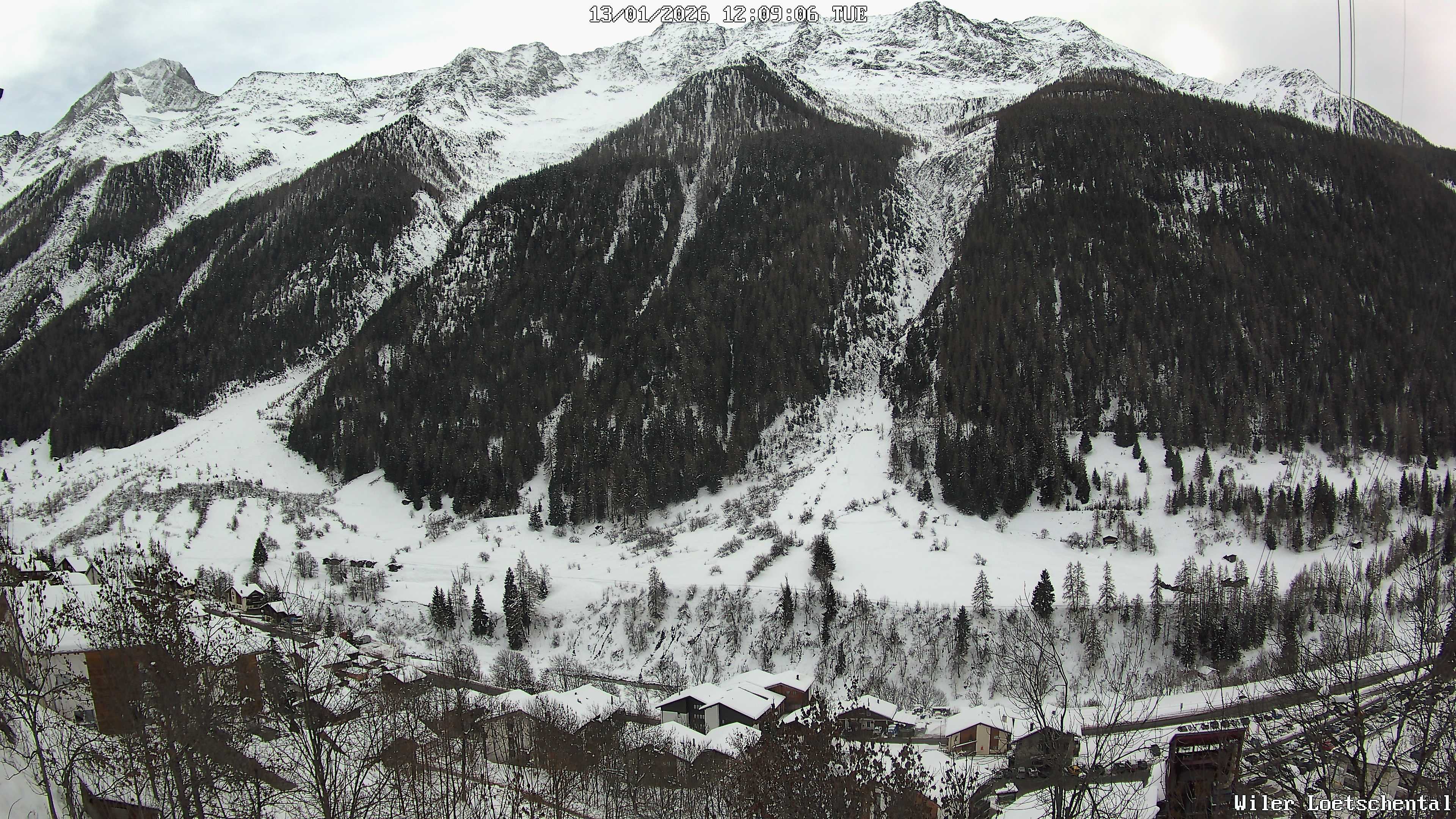 13.01.2026 12:09
