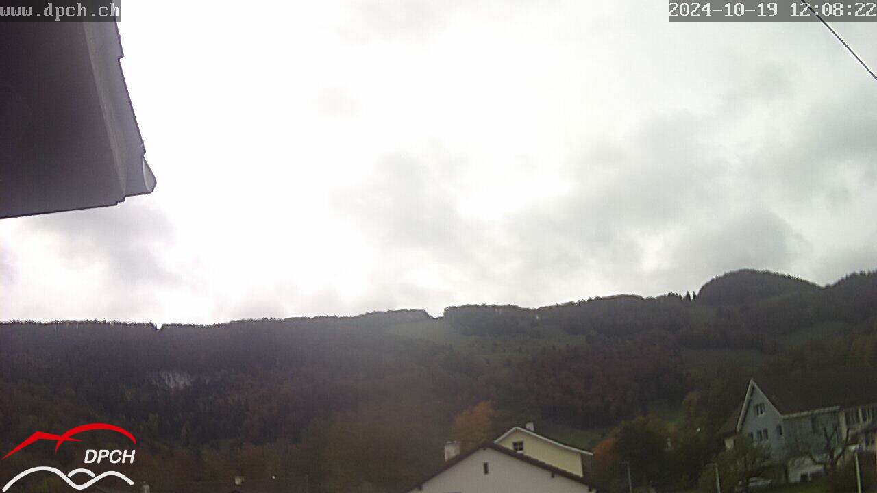 19.10.2024 12:09