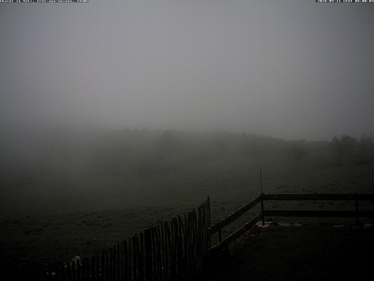 8h ago - 08:00