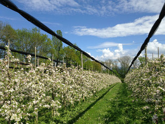 Agro-Idée Sàrl - 1