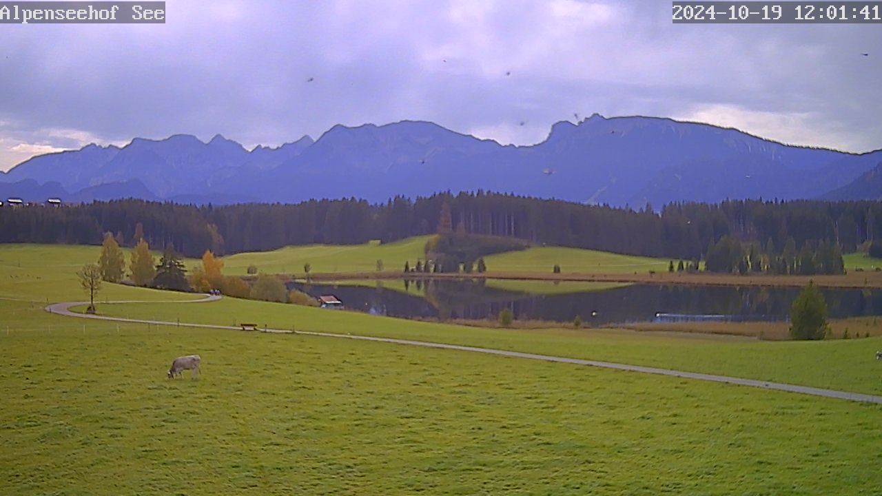 19.10.2024 12:01