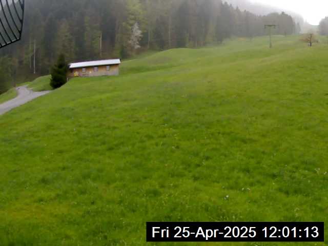25.04.2025 12:01