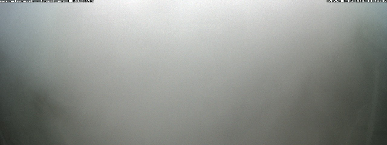 32h ago - 13:14