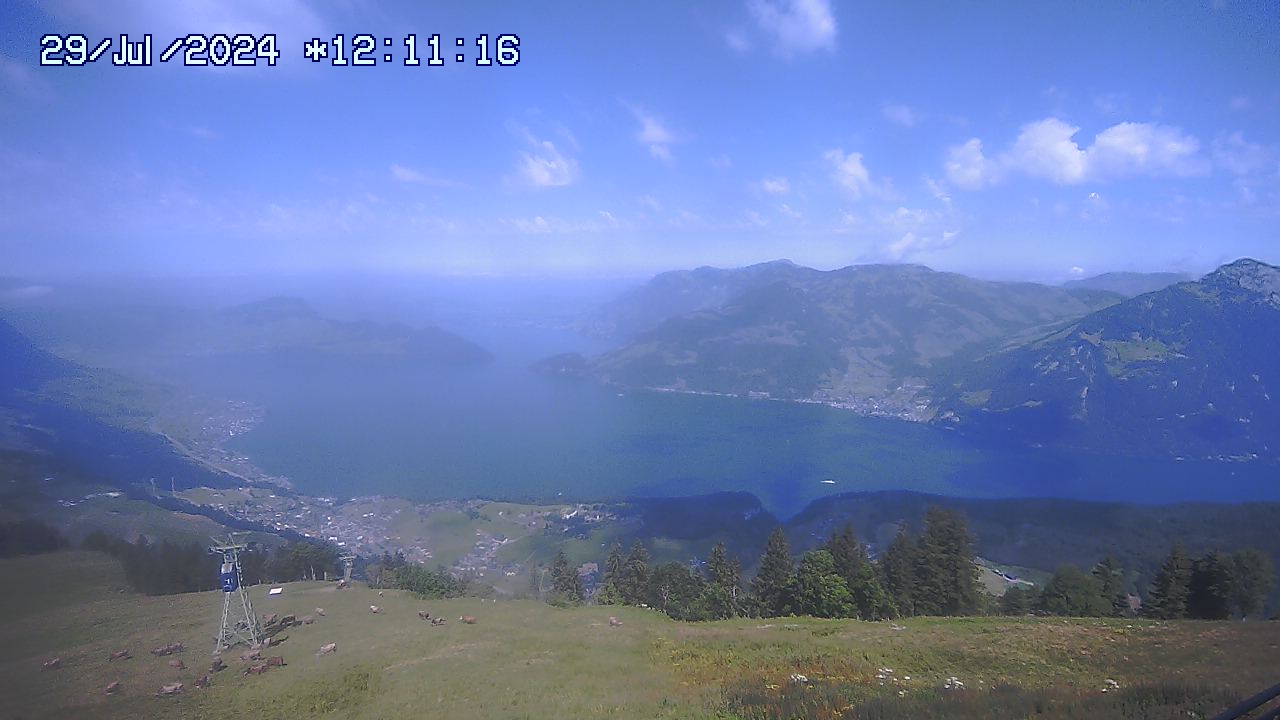 29.07.2024 12:01
