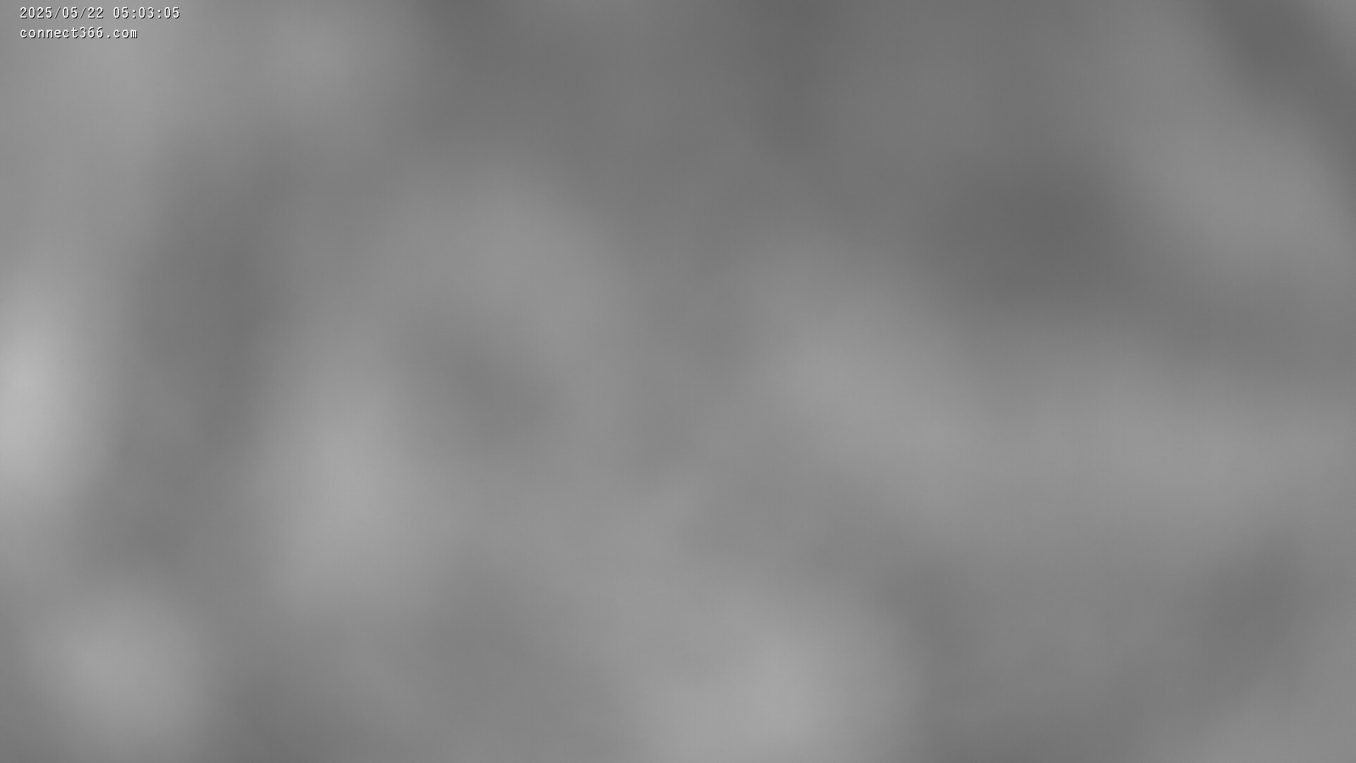 24h ago - 05:03