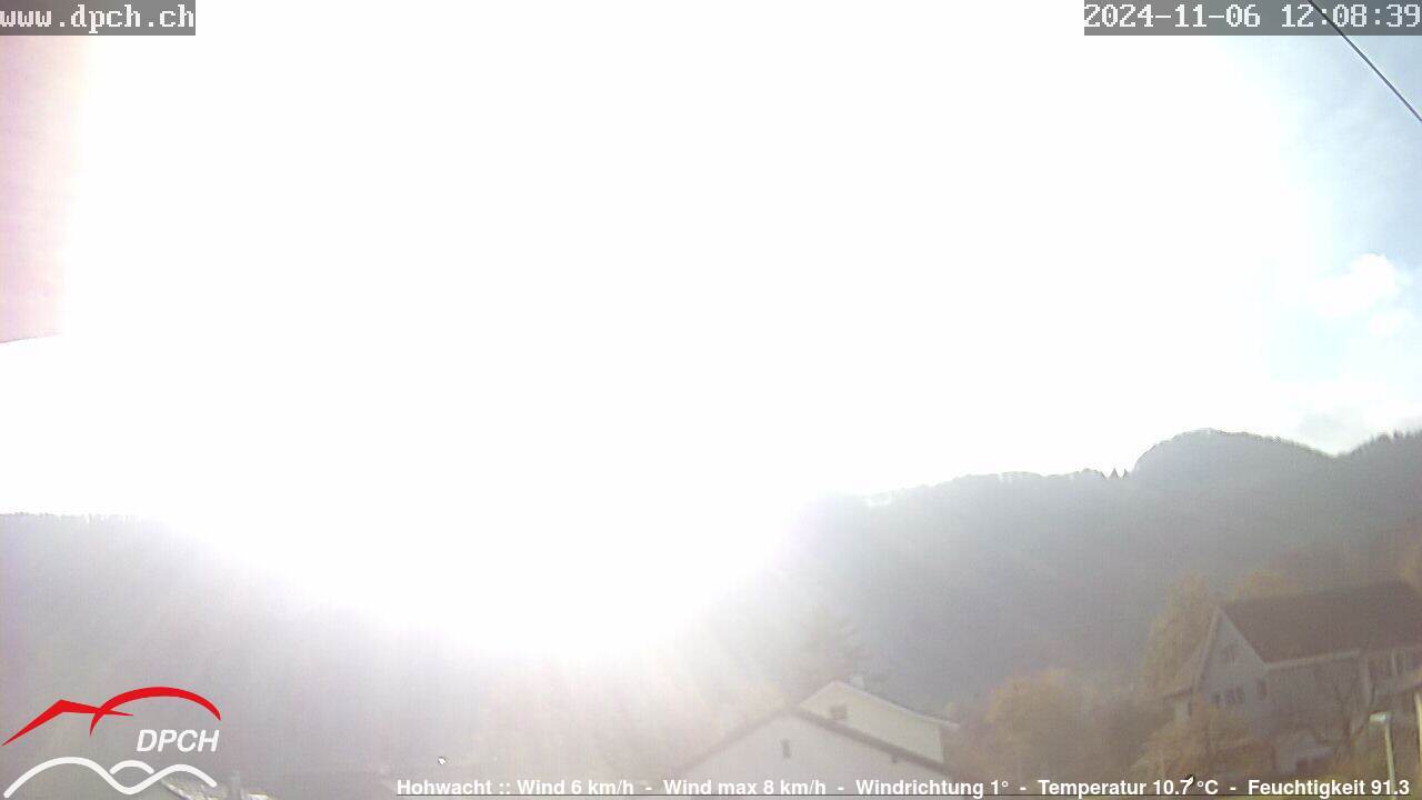 06.11.2024 12:09