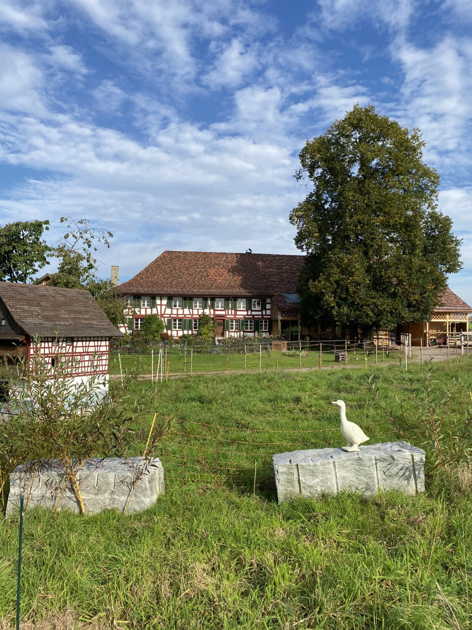 Through the Swiss apple country |  Switzerland tourism