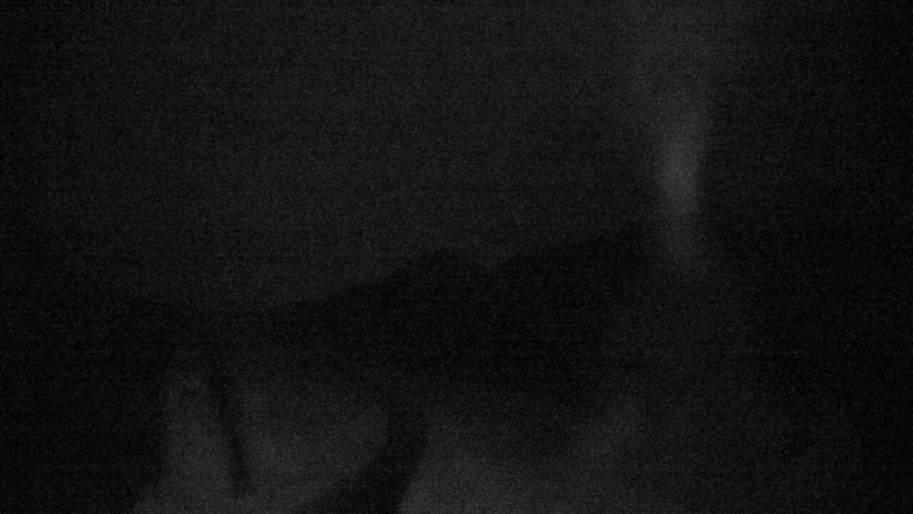1h ago - 03:16