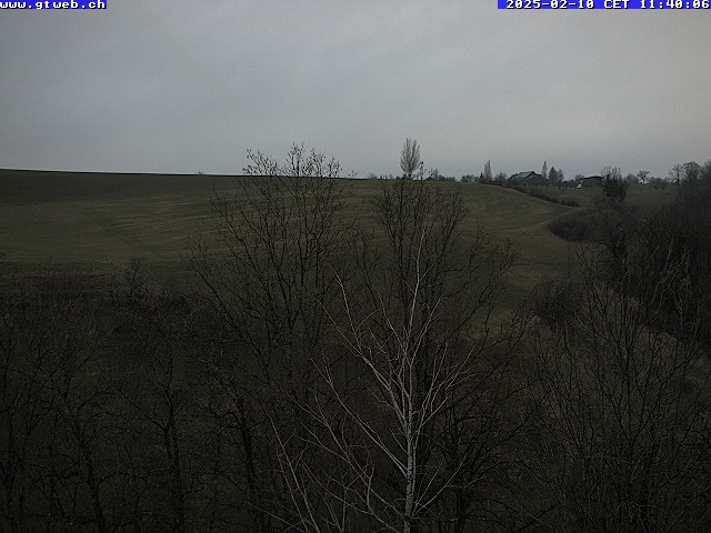 10.02.2025 12:07