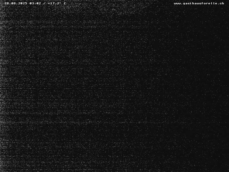 24h ago - 03:02