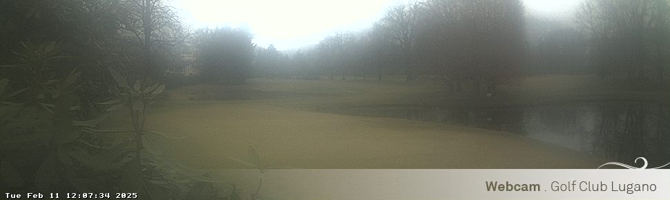 11.02.2025 12:07