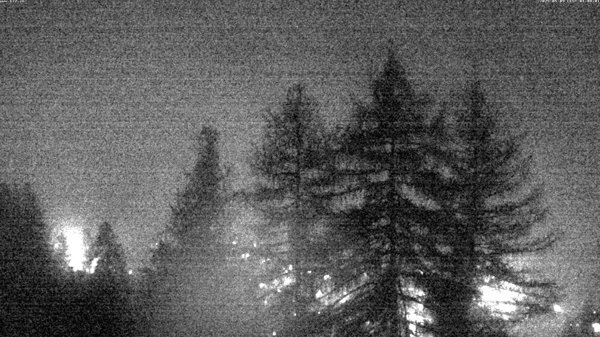 6h ago - 01:07
