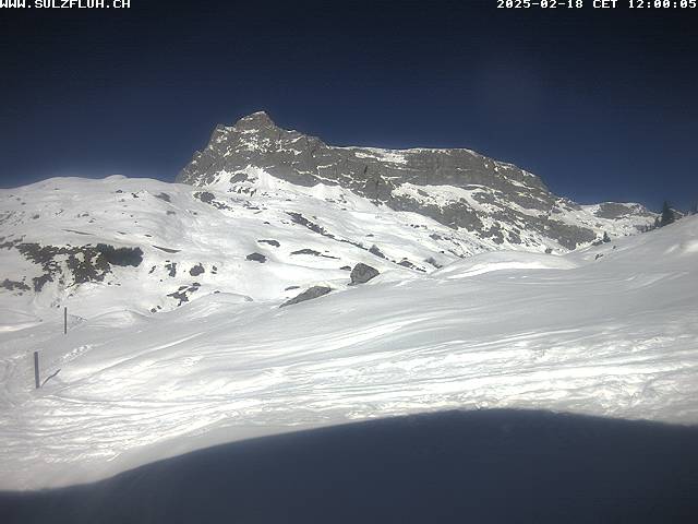 18.02.2025 12:00