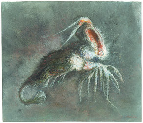 Alfred Kubin, Ohne Titel, um 1906, Kunsthaus Zug, Schenkung aus Zuger Privatbesitz, © 2020, ProLitteris, Zurich