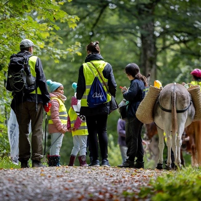 Titelbild des Events: Active City: Eselspaziergang