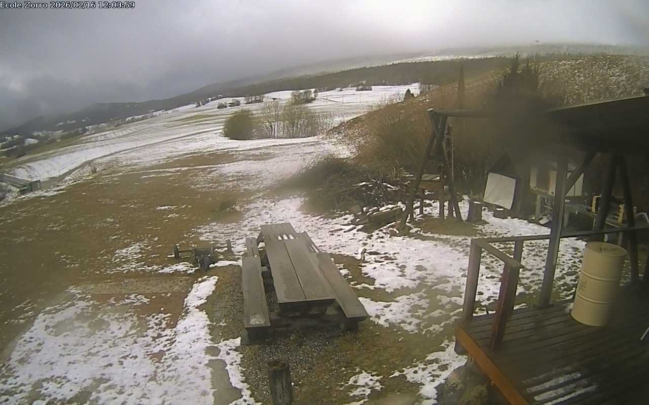 16.02.2026 12:03