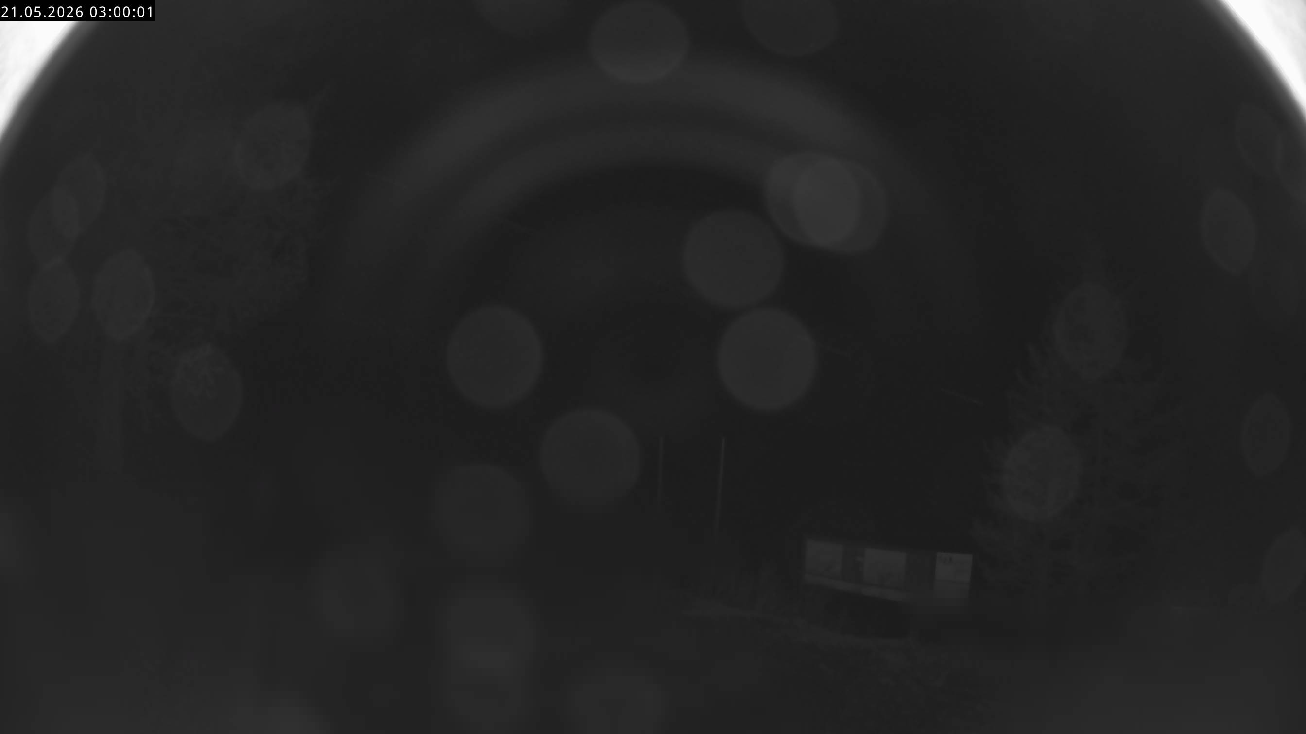 15h ago - 03:00