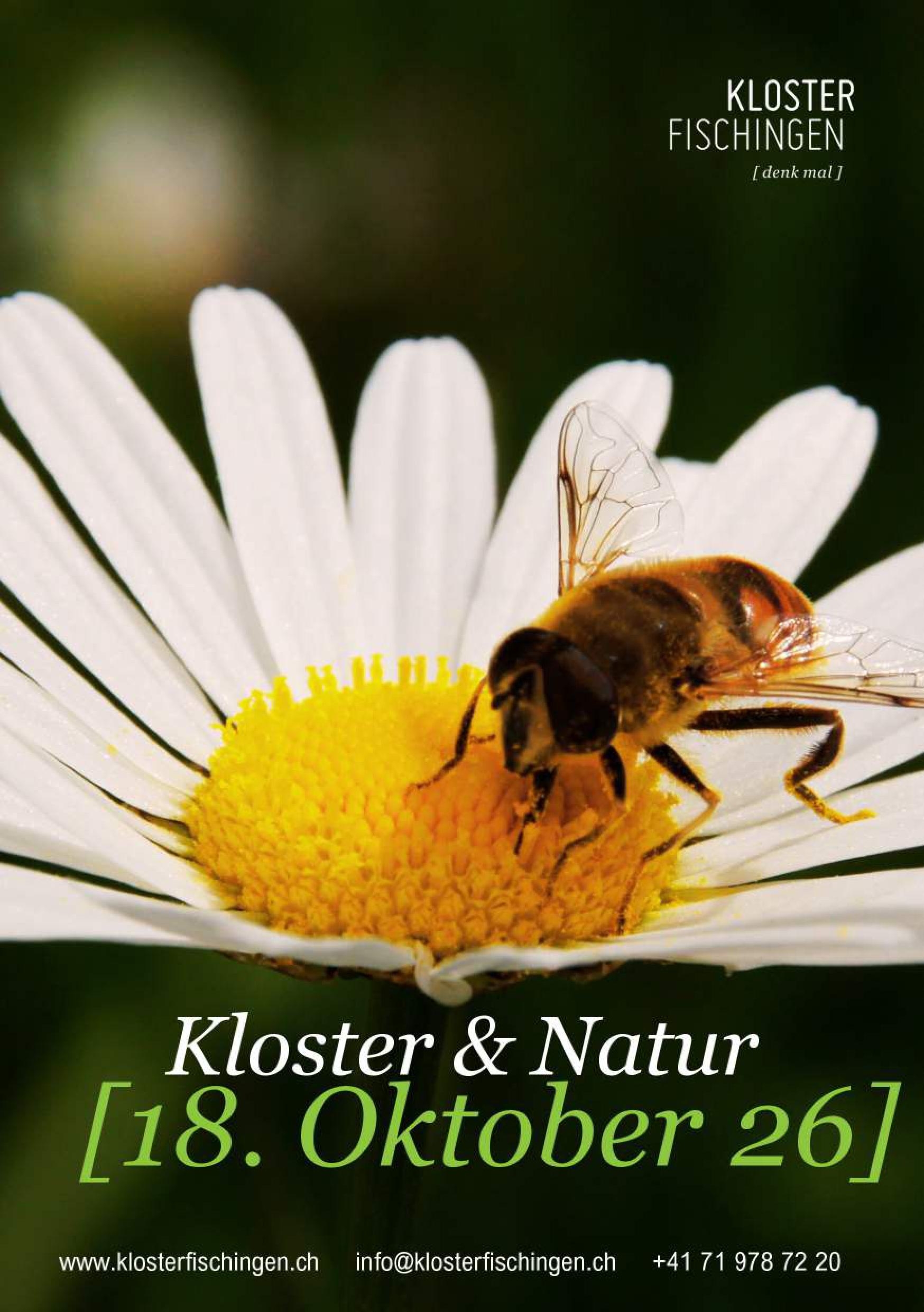 Kloster und Natur