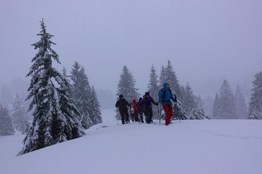 Arvenbüel