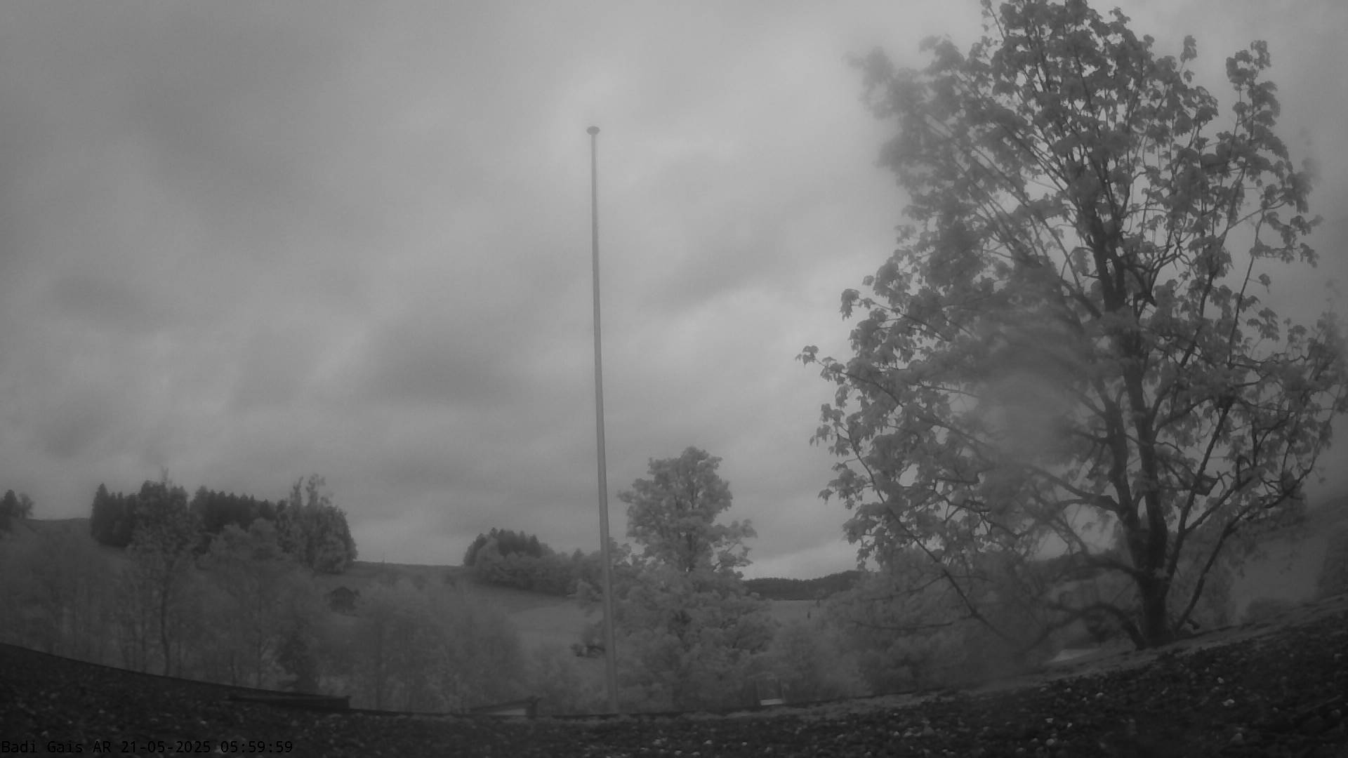15h ago - 06:00