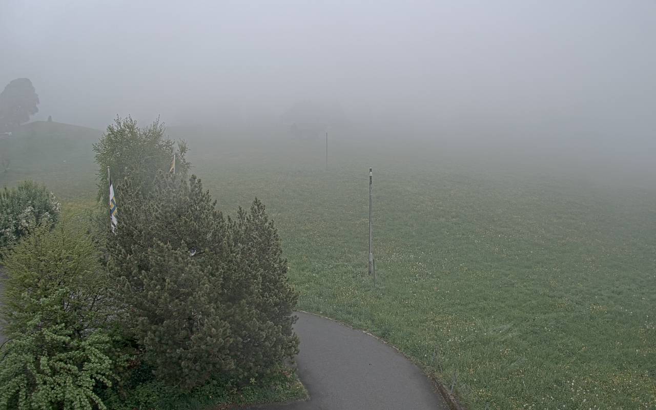 14h ago - 17:55