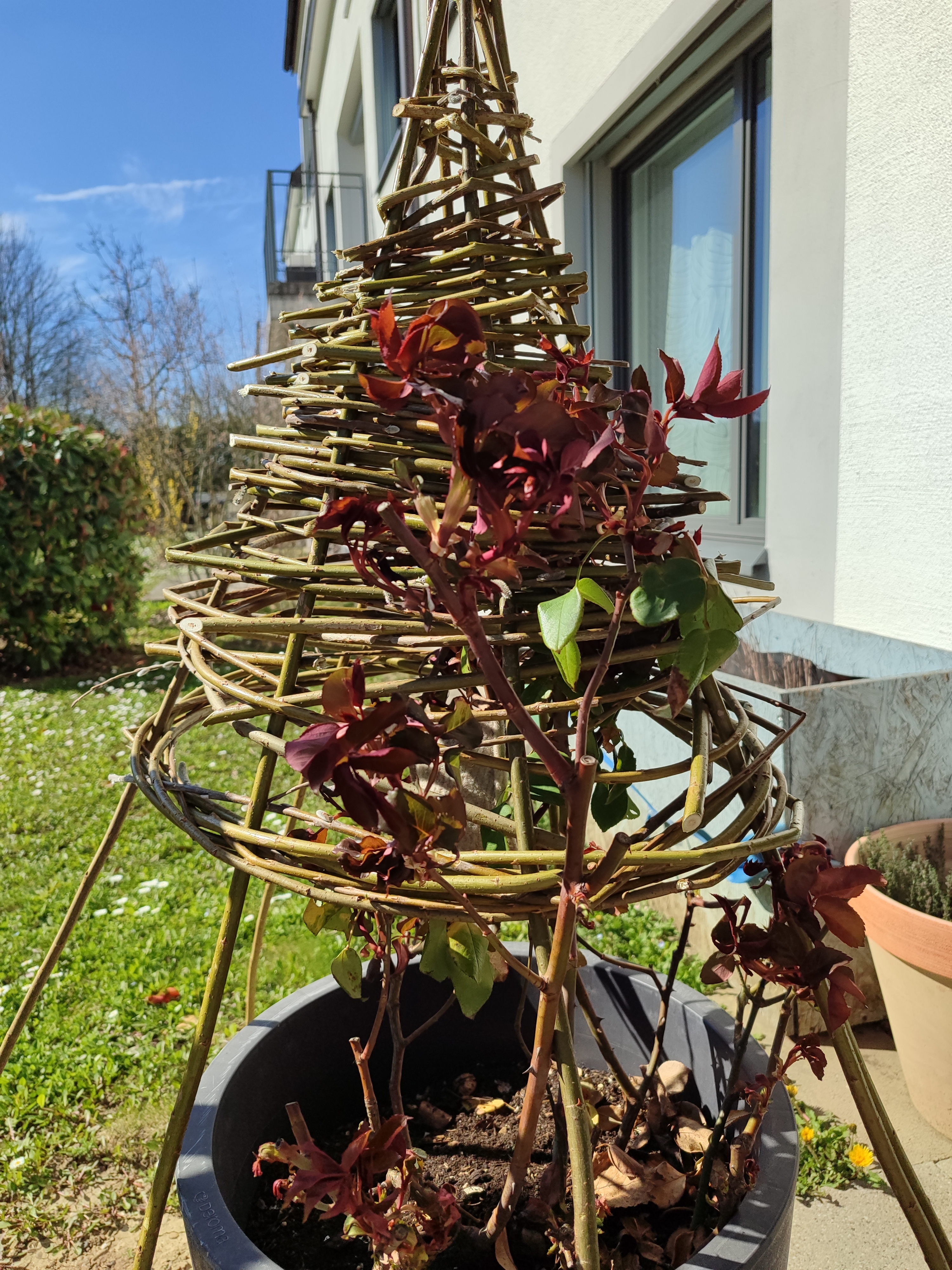Basteln mit der Natur
