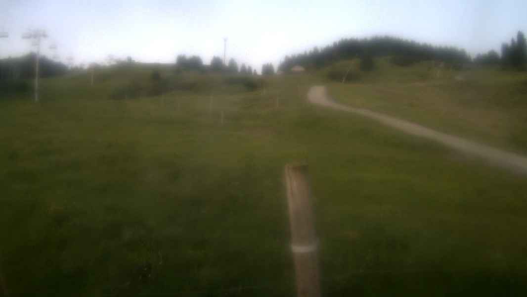 25h ago - 05:31