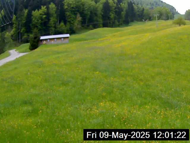 09.05.2025 12:01