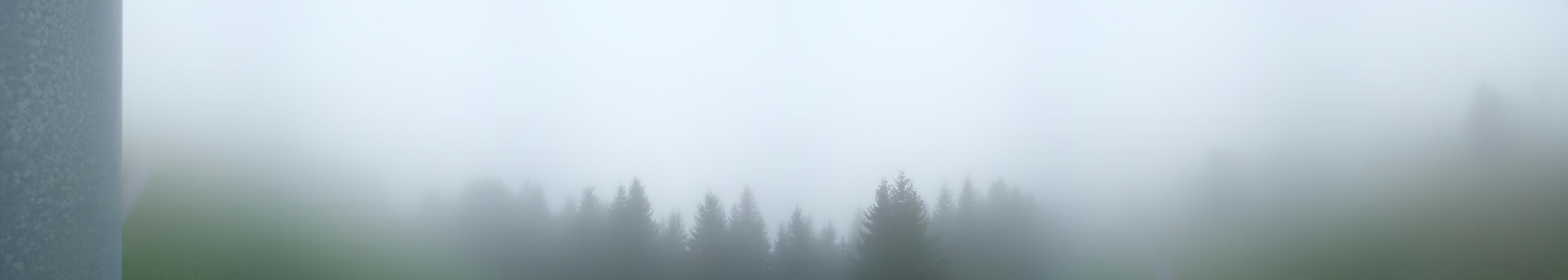 40h ago - 15:01