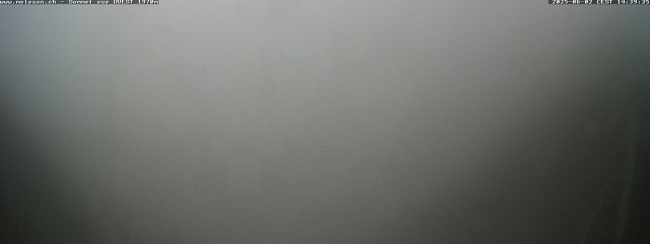 26h ago - 14:39