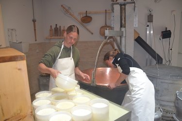 Mutschli, Glarner Alpkäse oder Raclettekäse selber machen