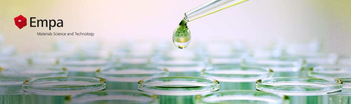 Technology Briefing: Safe and Sustainable by Design (SSbD)