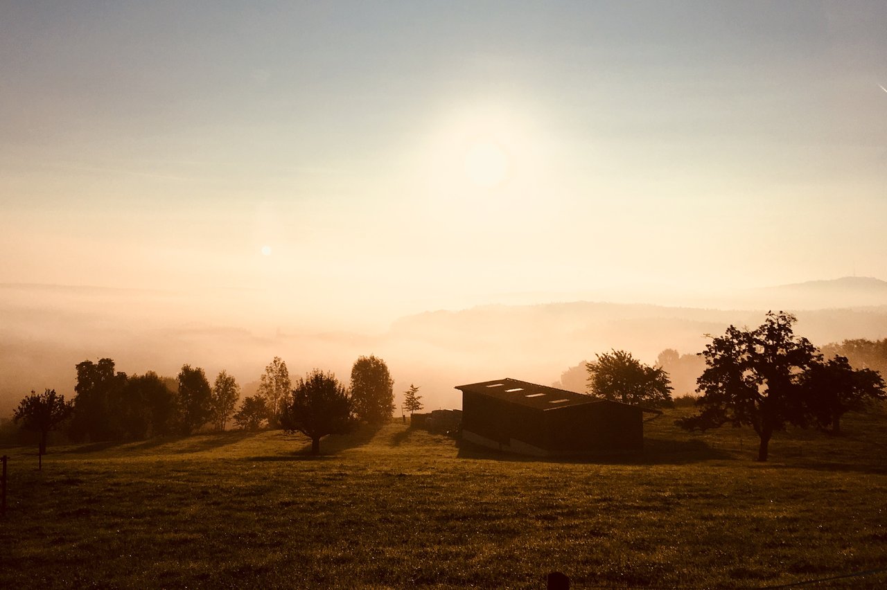 Titelbild des Events: 1. August-Brunch: Bauernhof im Eichholz