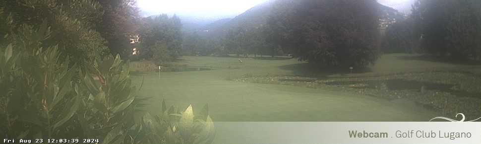 23.08.2024 12:03