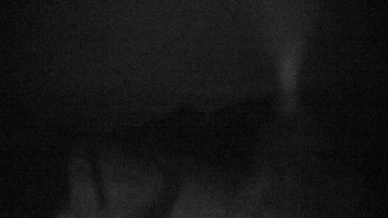 3h ago - 23:11