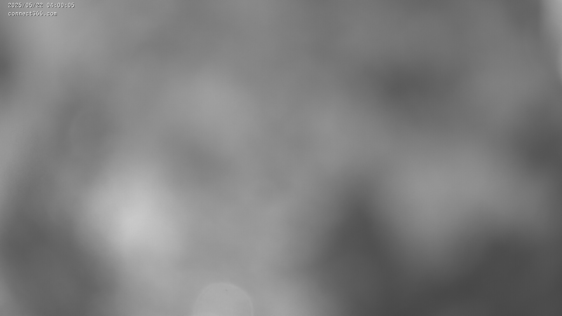 25h ago - 04:01