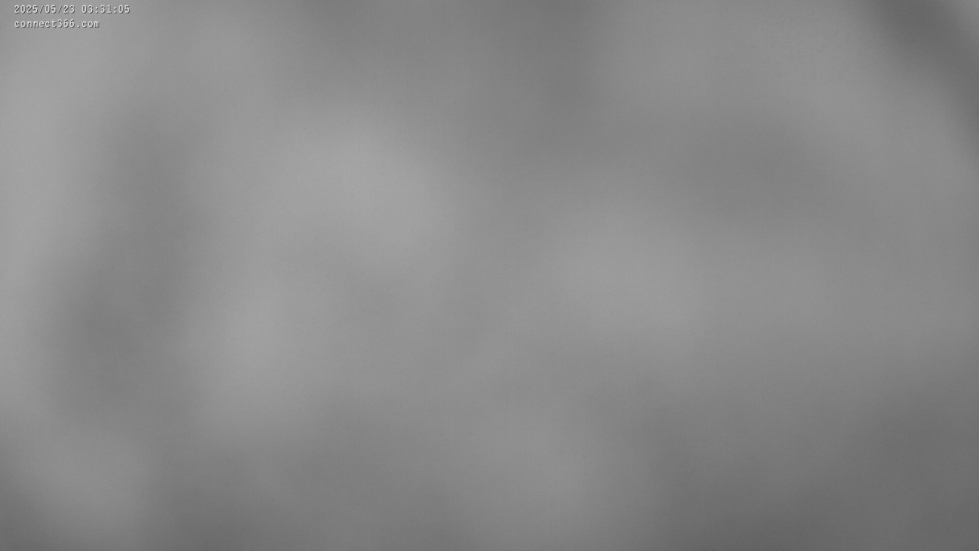 2h ago - 03:31