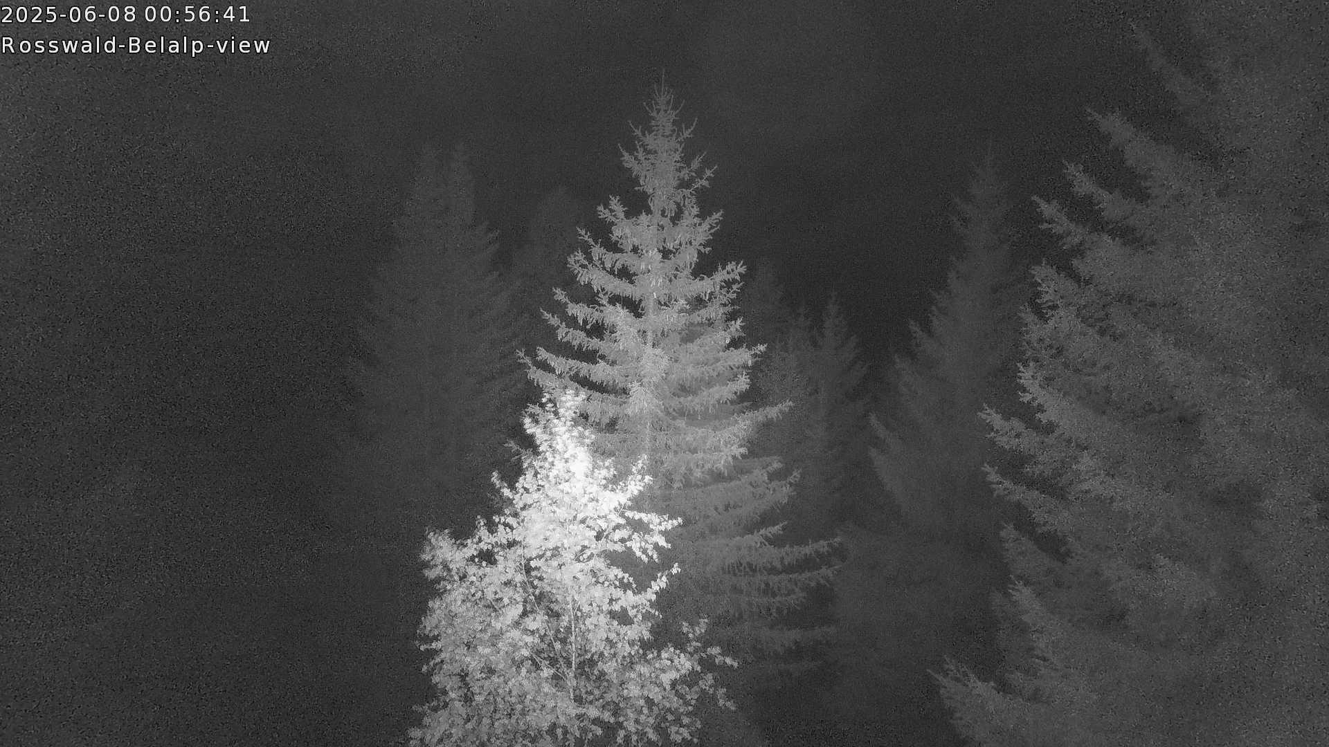 6h ago - 01:01