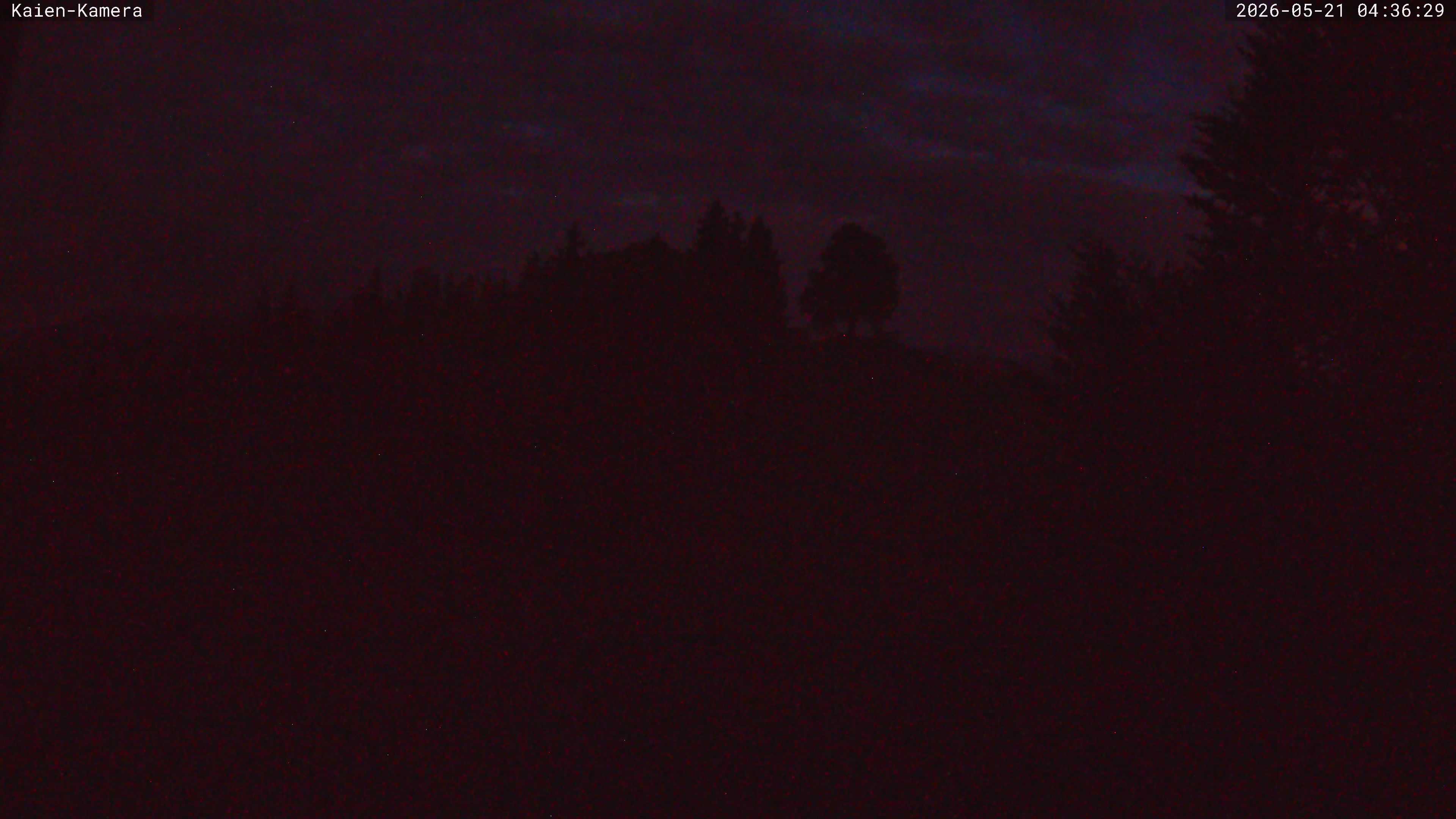 14h ago - 04:36