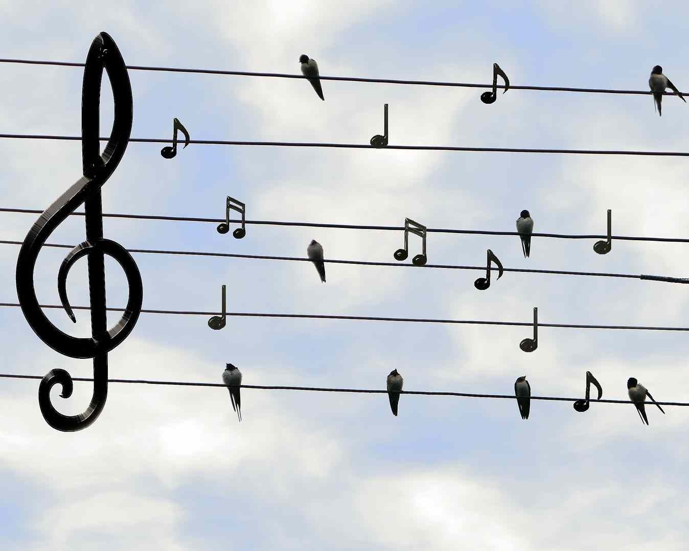 Titelbild des Events: Singkreis