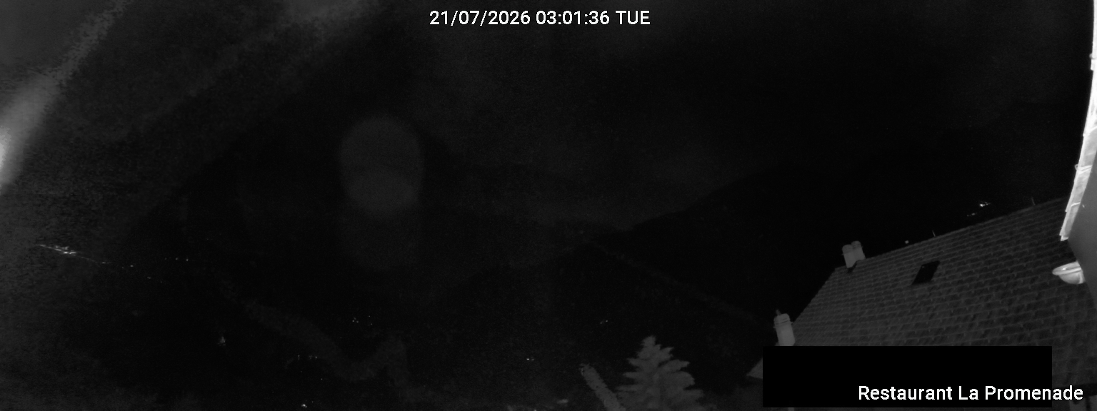 38h ago - 04:01