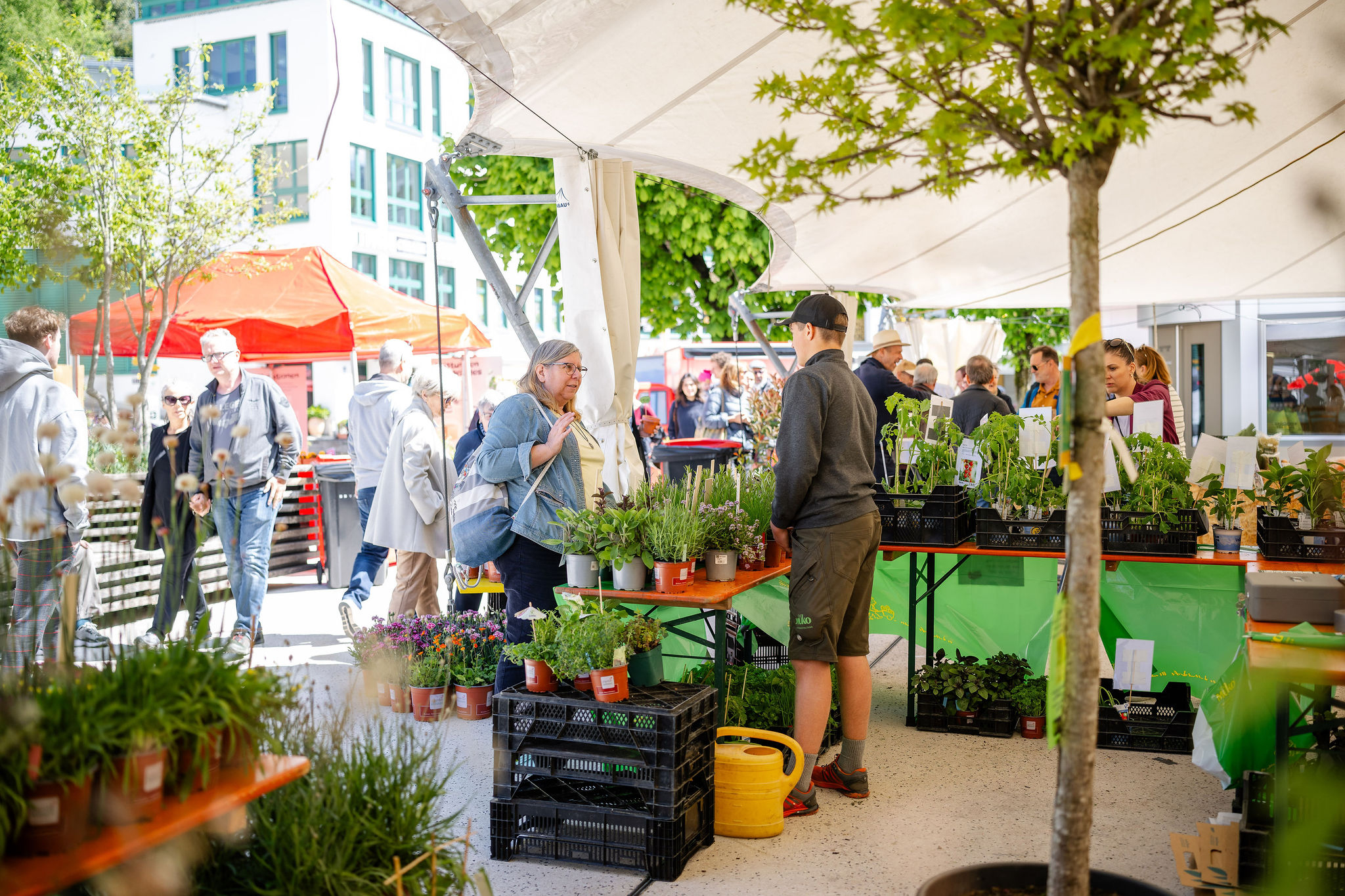 Lokal+Fair Frühlingsmarkt