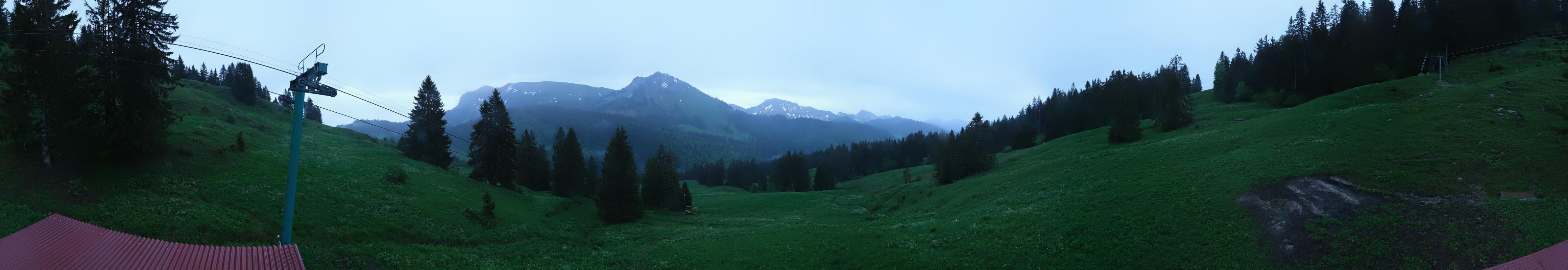 33h ago - 06:31