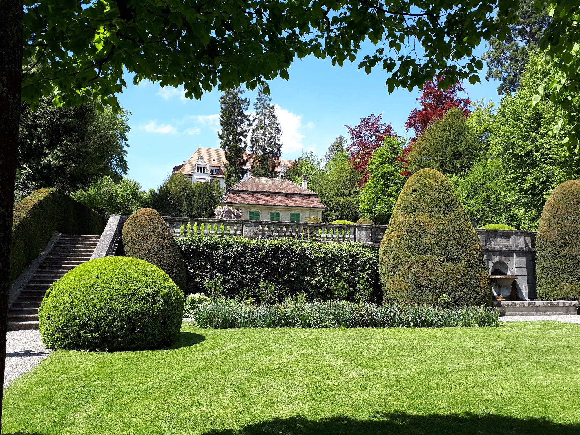 Titelbild des Events: Parkführung - Eine Auszeit im Park