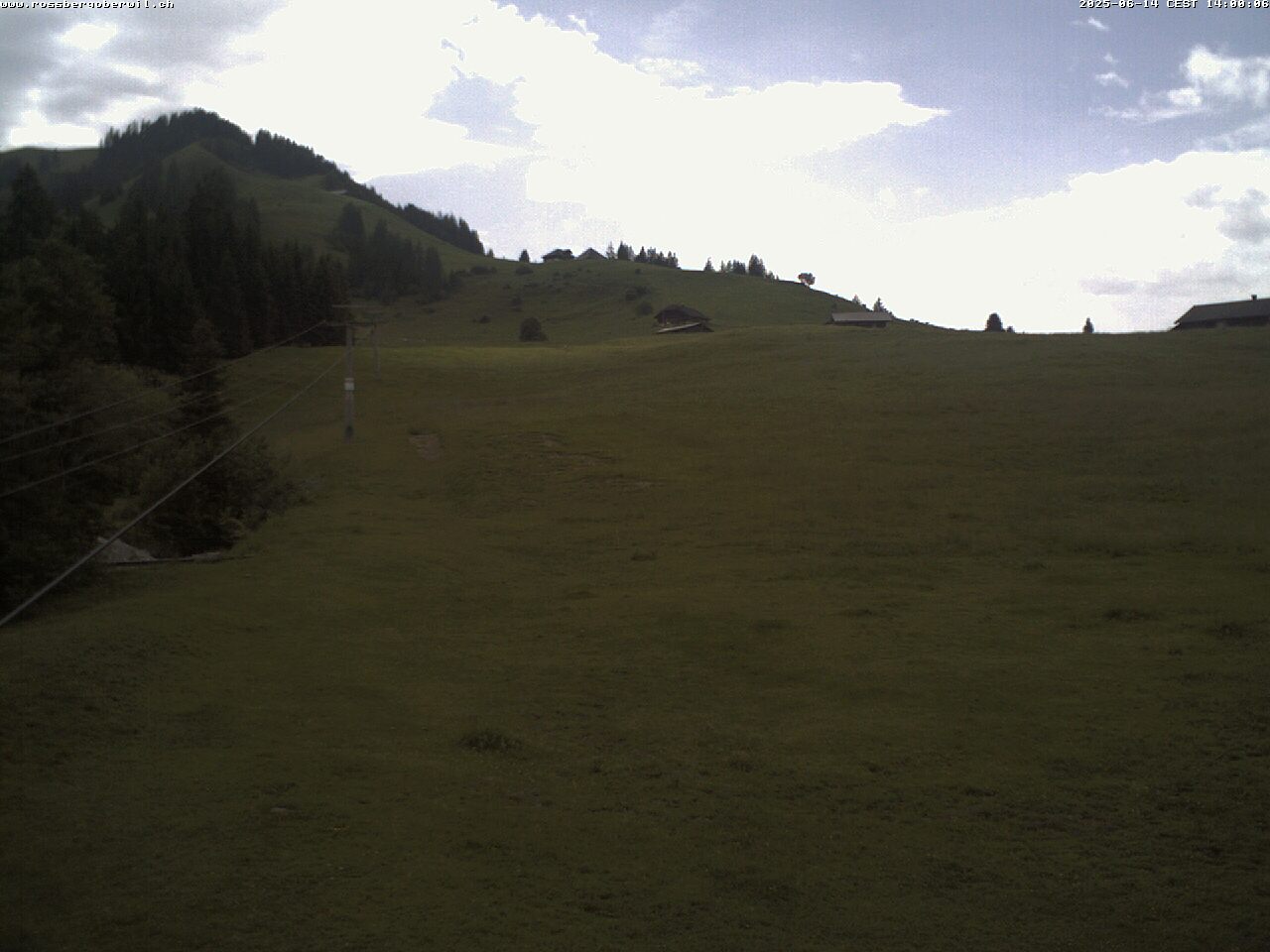 2h ago - 14:00