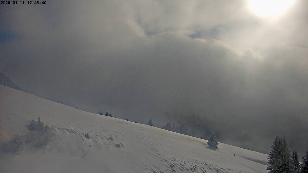 Rovaniemi: Lordin Aukio